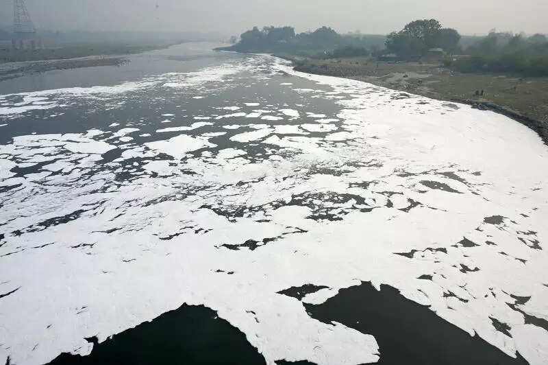 Untreated Sewage A Drain On Yamuna Cleanup Effort