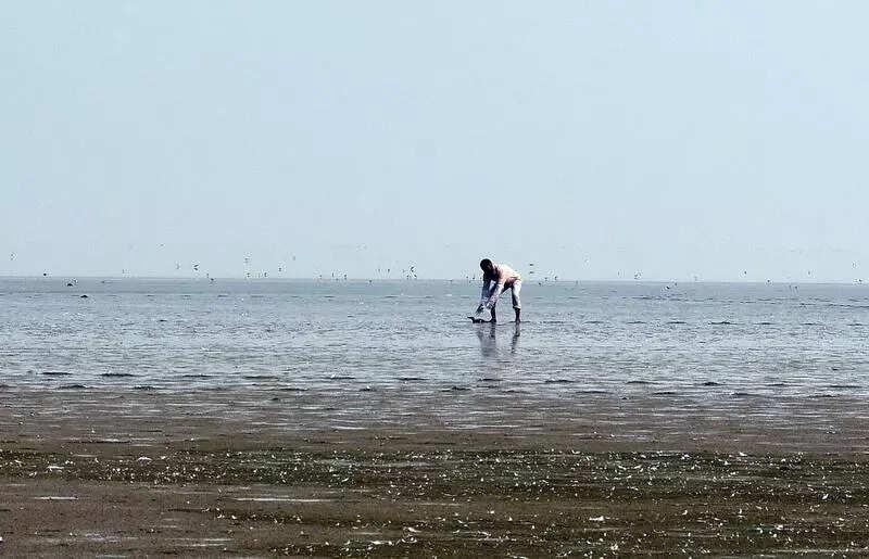 msid 127645662,imgsize 49170 https://jaipur.visitinrajasthan.com/wp-content/uploads/2023/10/cropped-cropped-R-2.png