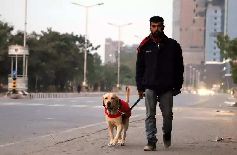 Western Disturbance: Drop in minimum temperature likely in Ahmedabad on Jan