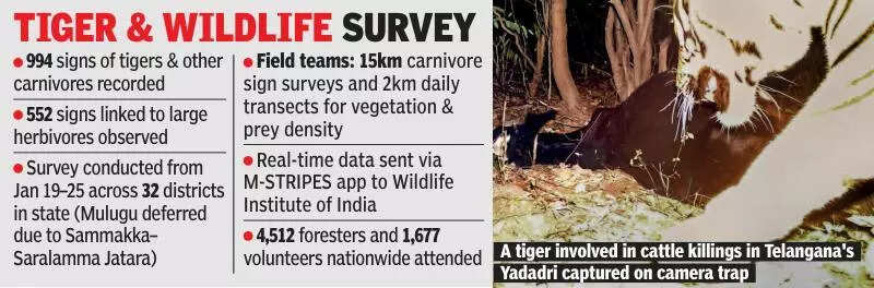 Tribal trackers, drones deployed as wandering tiger roams T farmlands