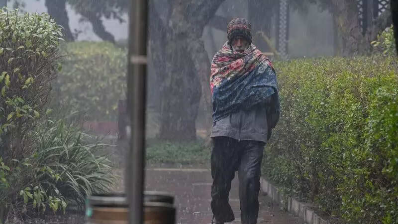 Delhi sees wettest January in 4 years, February to start with rain