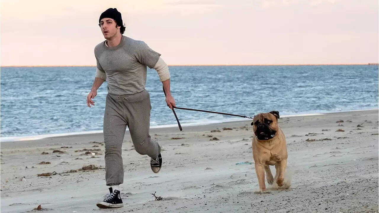 ‘I Play Rocky’ opens Thanksgiving 2026