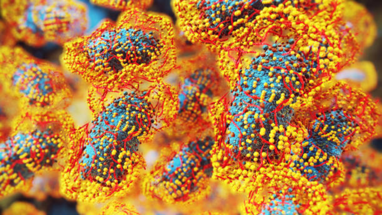 Nipah virus can remain dormant for up to 45 days: Doctors reveal why this is dangerous