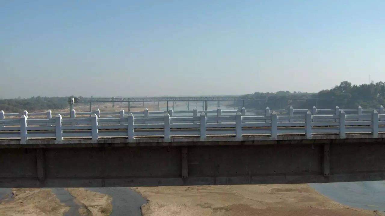 Inside India’s “crocodile river” in Gujarat where reptiles live beside homes and roads