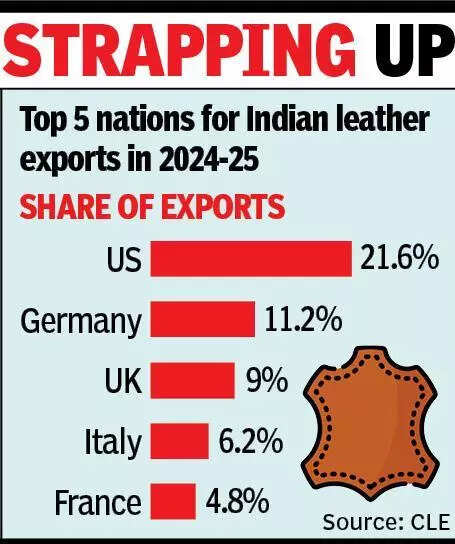 Lost in the US, Indian leather exporters look for gains in the EU