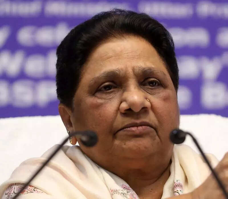 SC stay on new UGC rules apt, says Maya