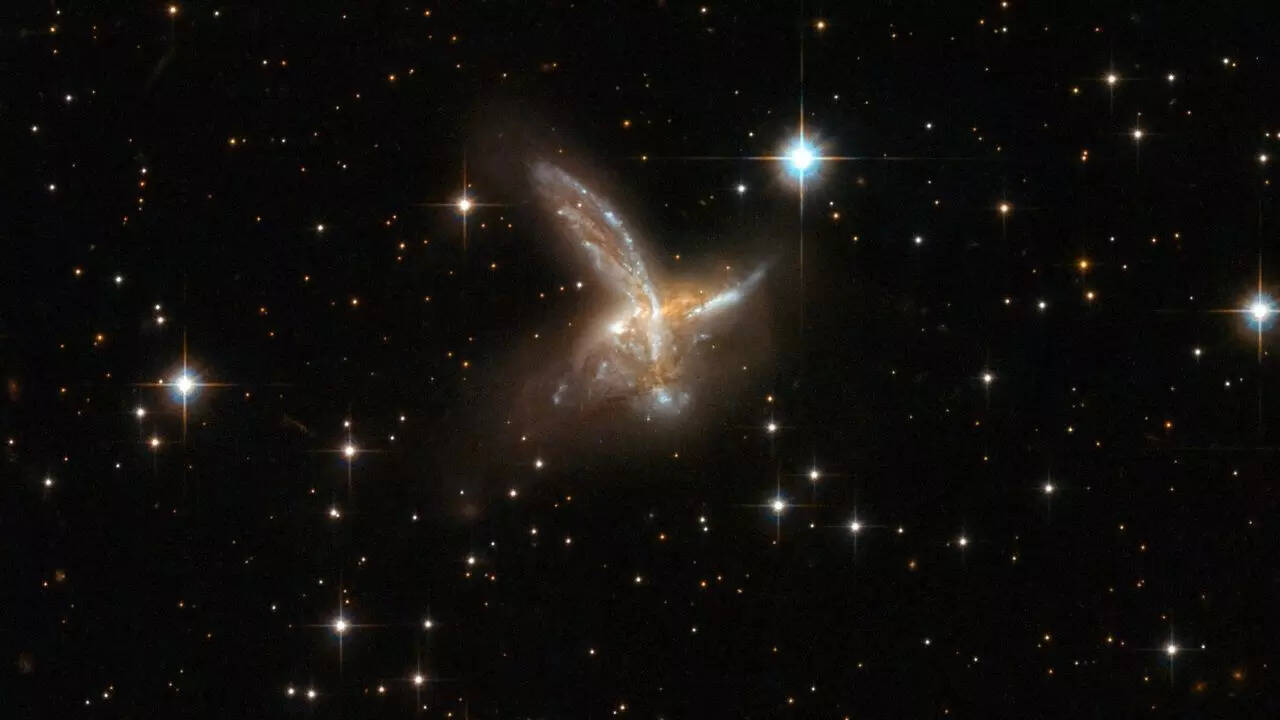 This viral ‘bird in space’ image from NASA’s Hubble Space Telescope is a galaxy collision | Watch