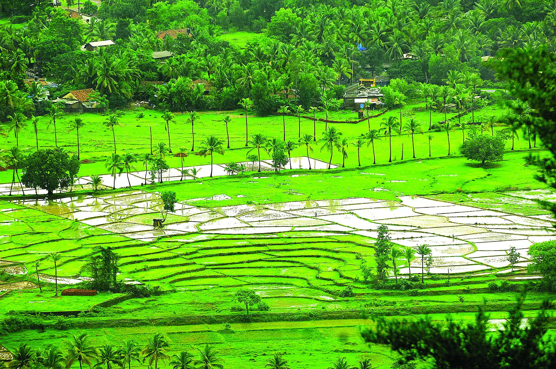 Soon, you can get your land conversion sanad online in Goa