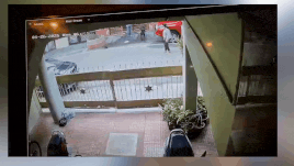 'Bit her face, hands and legs': CCTV captures horrific dog attack in Bengaluru