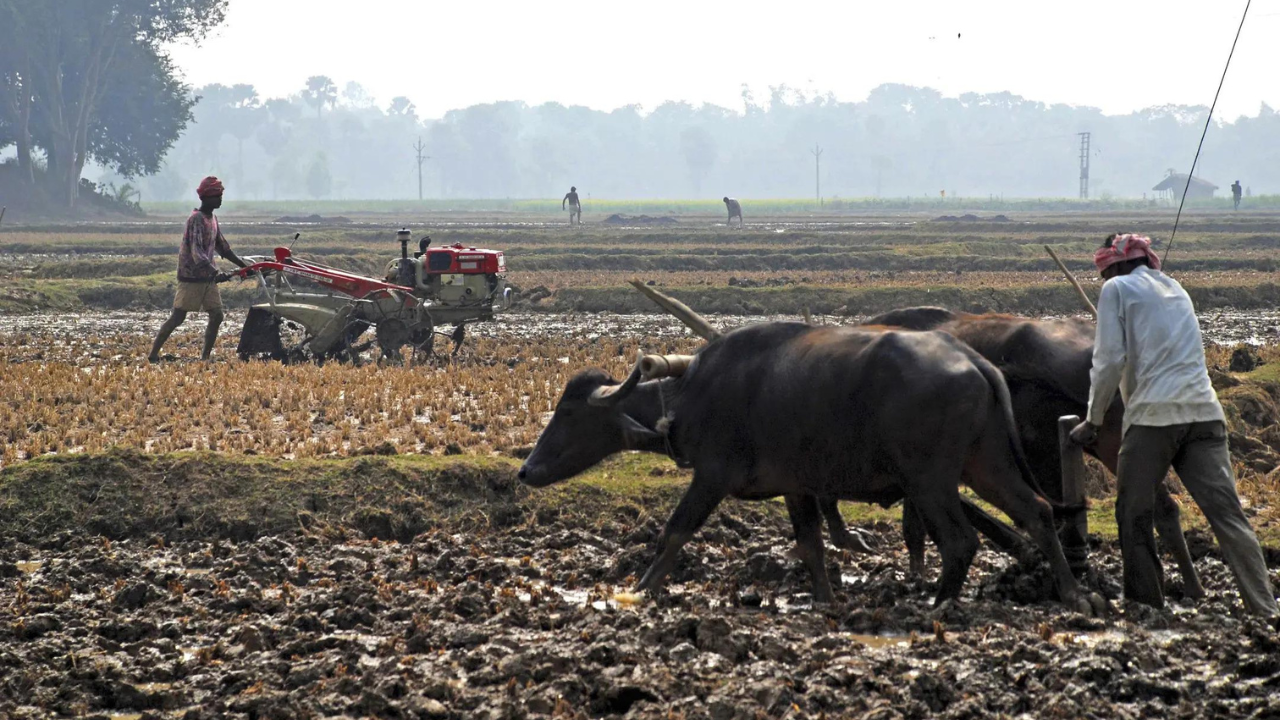 Union Budget 2026: Economists outline growth priorities, expect focus on jobs, farmers, MSMEs