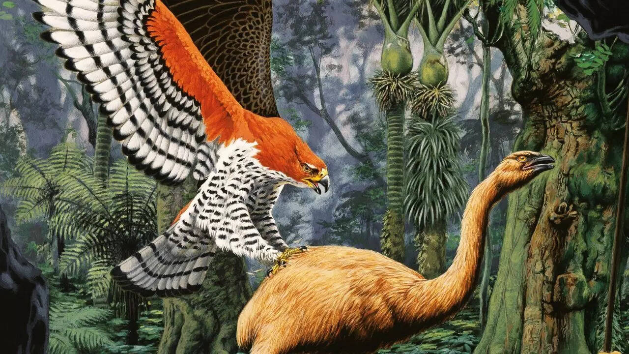 Ancient New Zealand