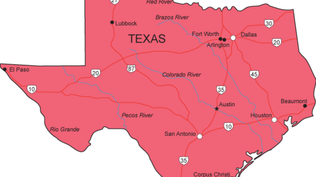 'More reason to deport every Indian': Florida Republican leader on Texas loss 'because of an Indian voting bloc'