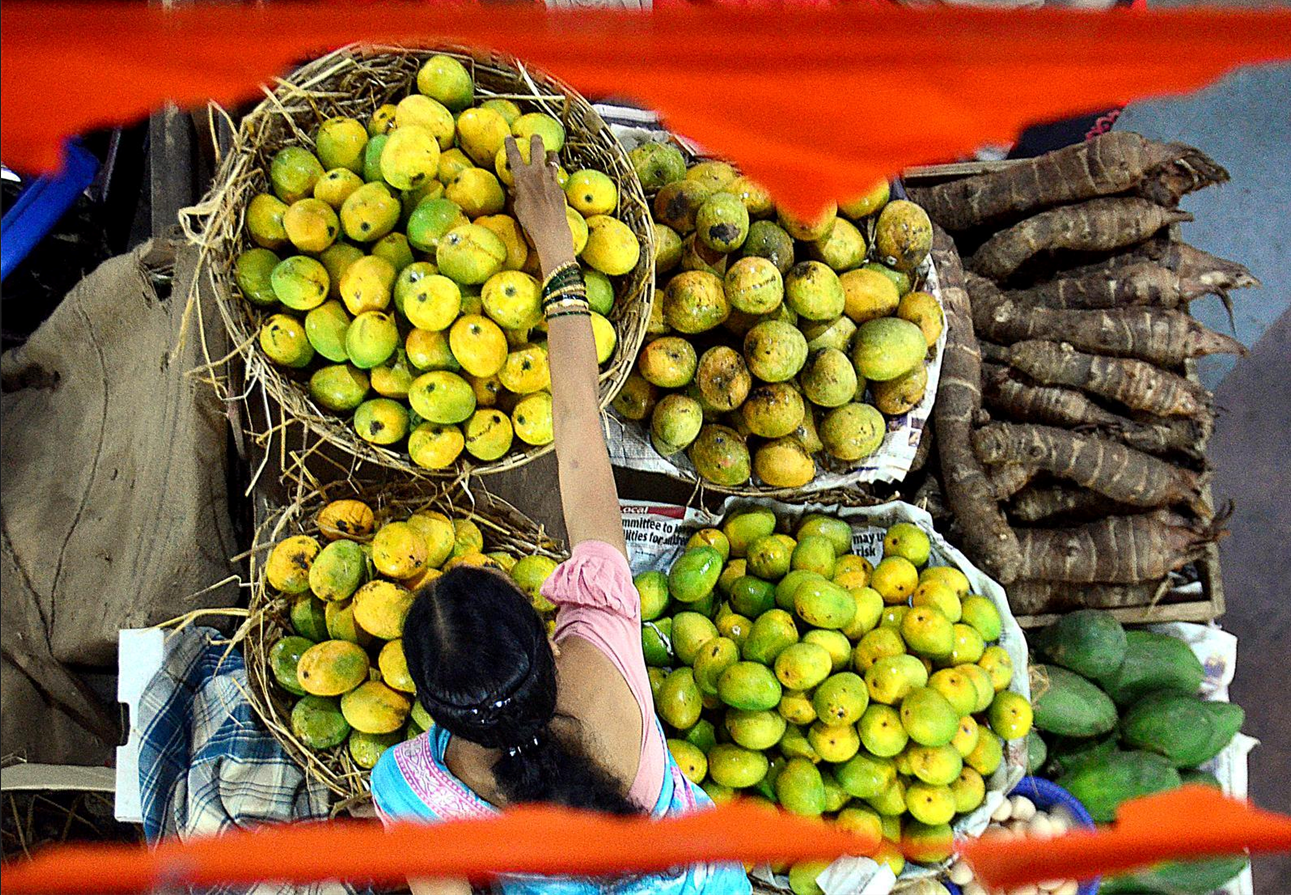 Season’s first mangoes arrive at local markets