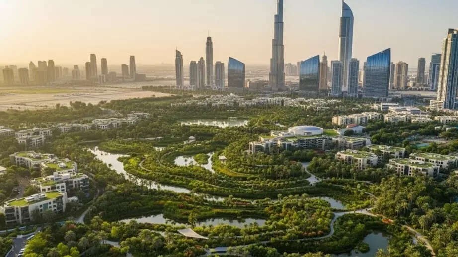 Dubai set to adopt China’s ‘Sponge City’ model — What the future city could look like