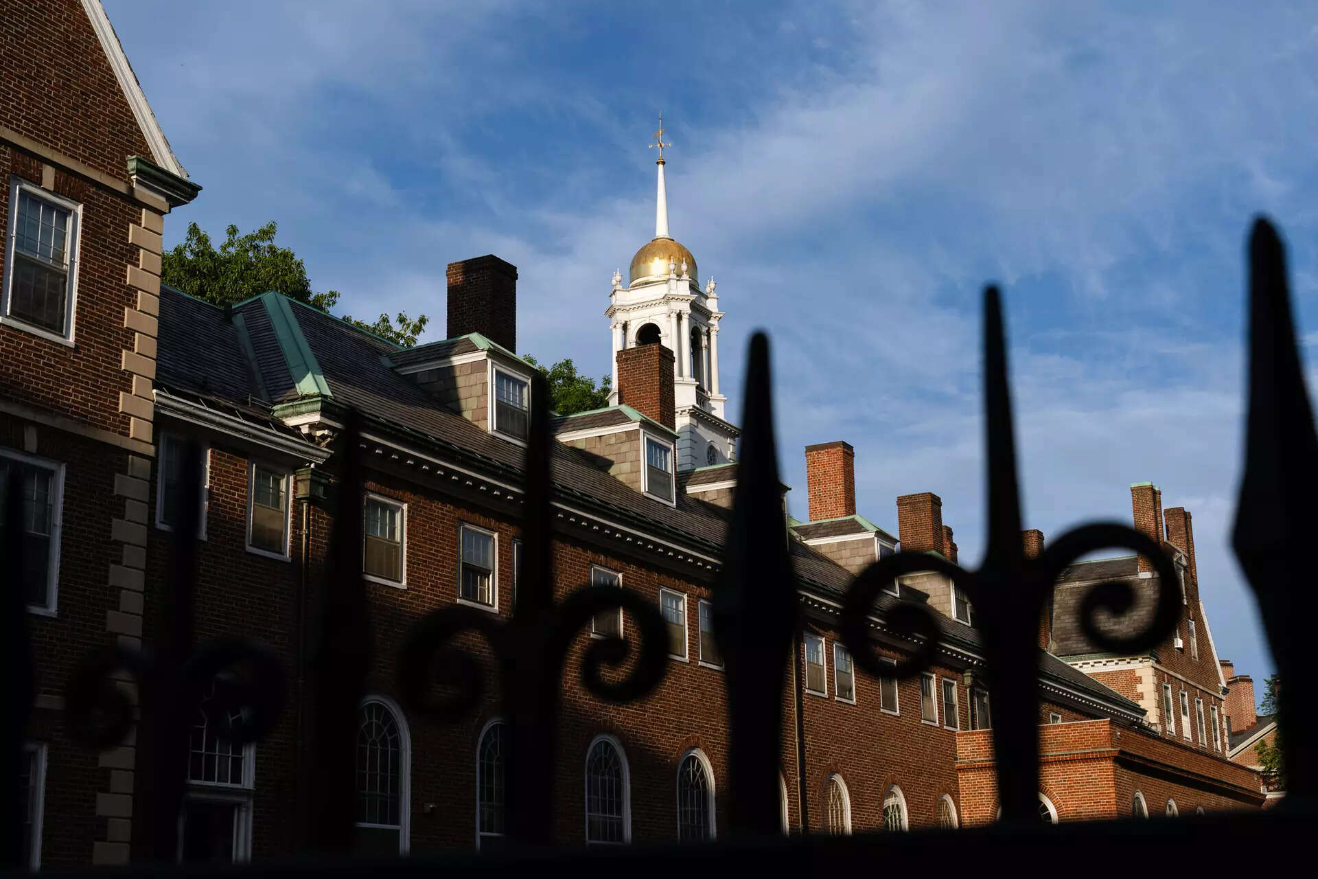 Harvard raises $50 million to fund new PhD fellowships after sharp admissions cuts