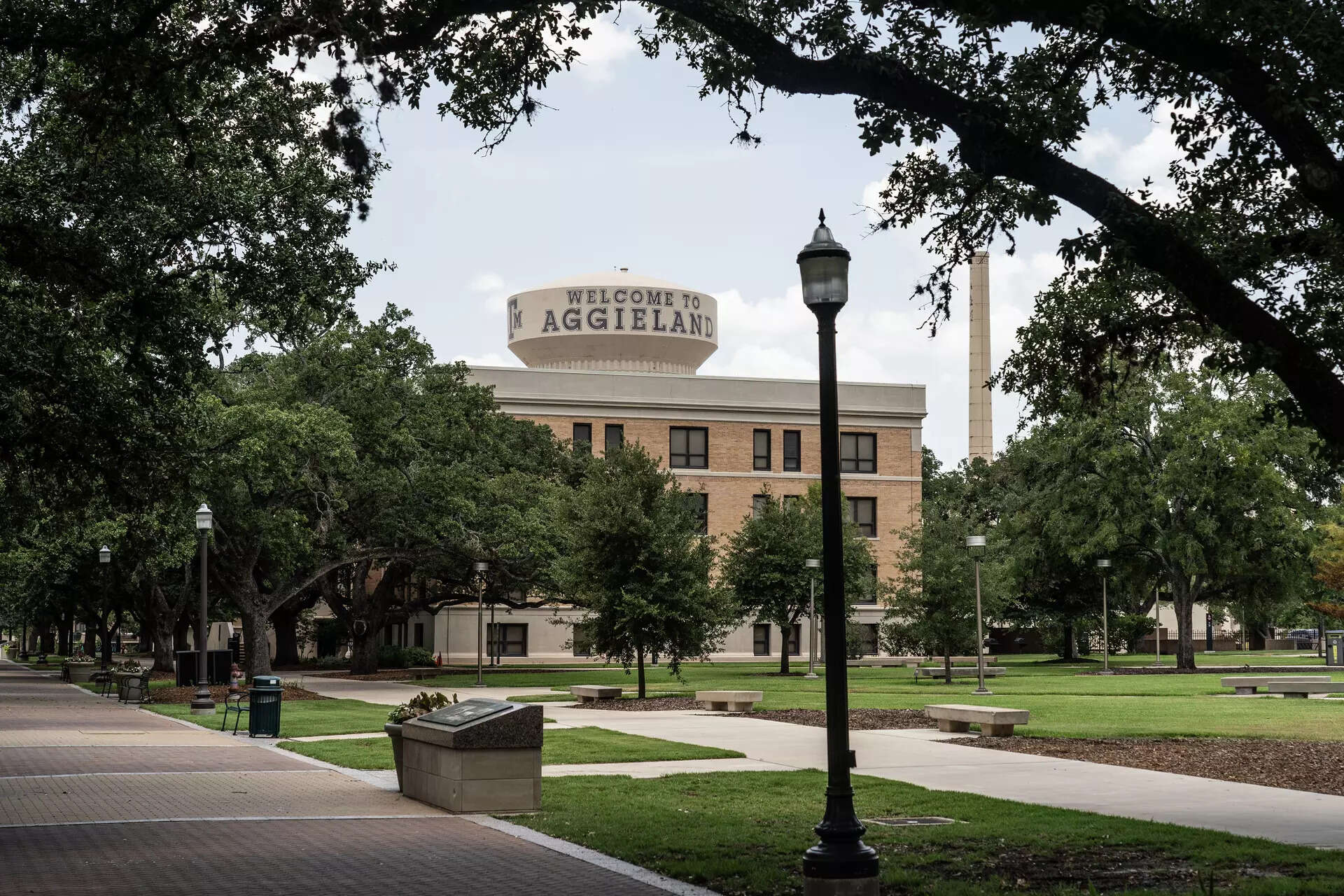 Texas A&amp;M professor sues university over firing linked to gender identity lesson controversy