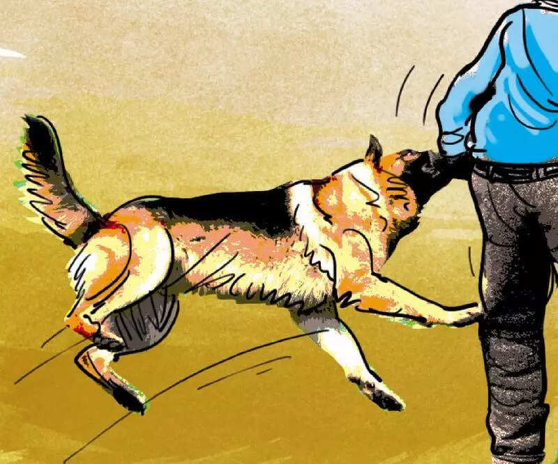 ‘J&amp;K reported 2 lakh dog bites cases in past 2 years’