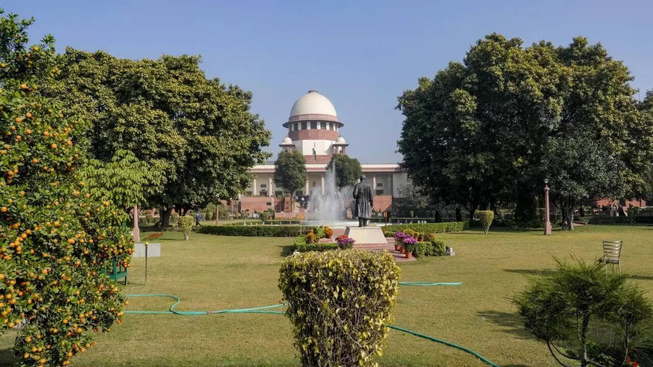 Minor has right over reproductive choice: Supreme Court