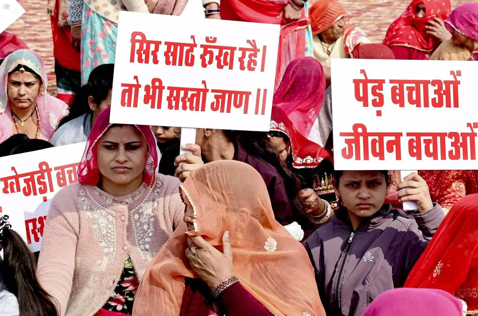 Protest against proposed cutting of Khejri trees in Bikaner (1).