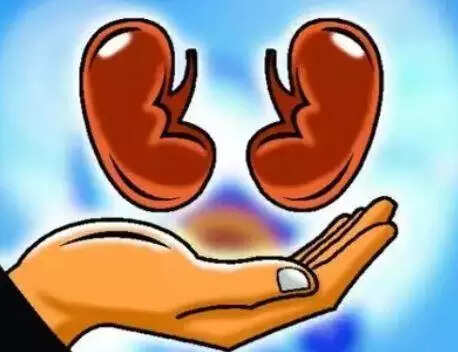 Three organ donations in 24 hrs; 10 in city this year