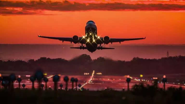 Consumer panel penalises travel firm over deficiency in service