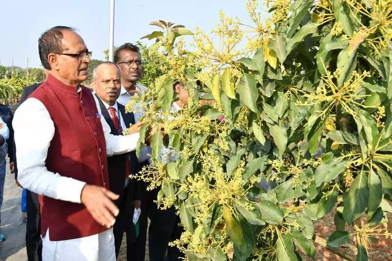 Extend shelf life of fruits, speed up trials of new varieties: Union agriculture minister to scientists