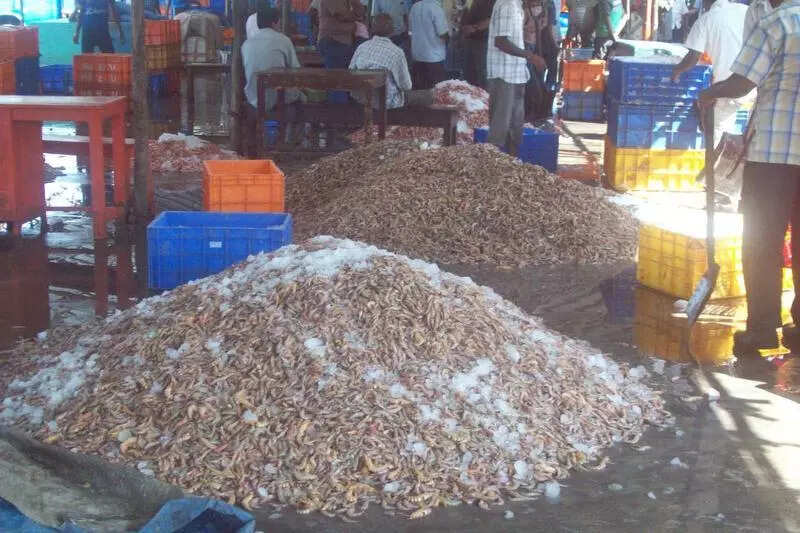 Min: 62 seafood exporters registered by MPEDA in state