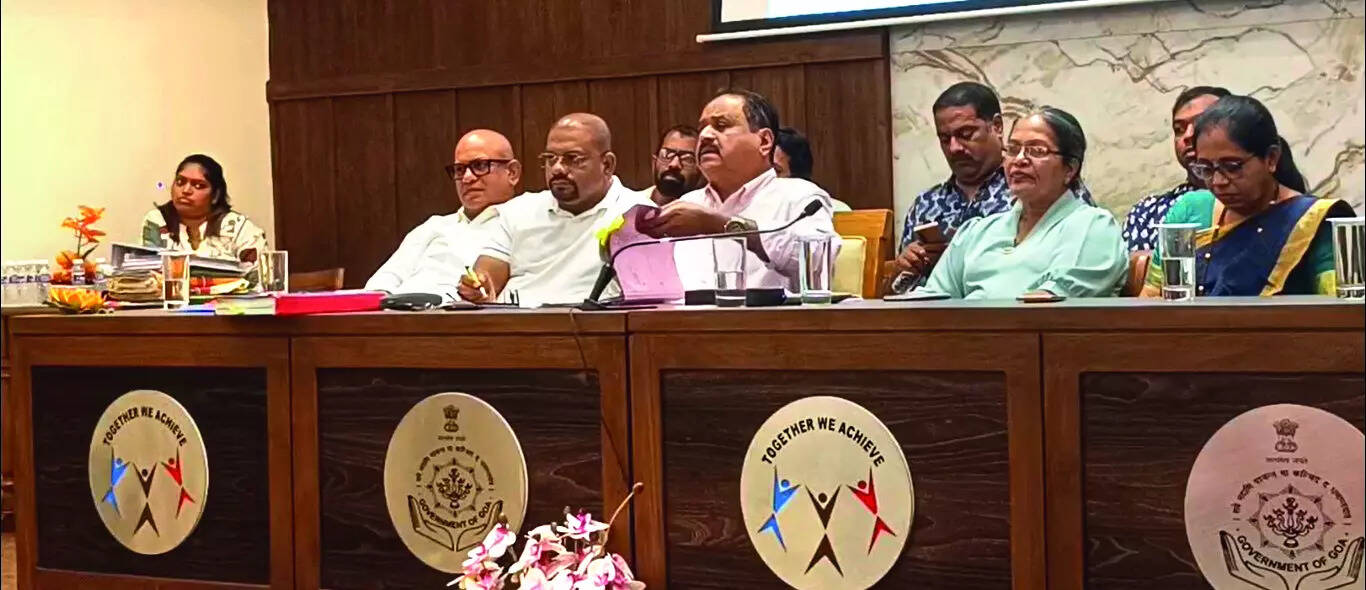 Calangute sarpanch: Can’t stop works approved under ODP until SC order