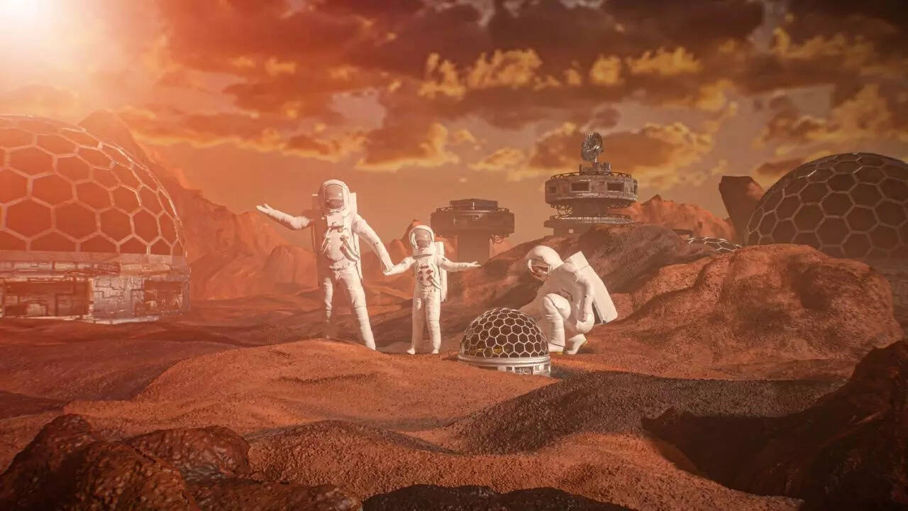 The Art of Baking: From Classic Bread to Artisan Pastries