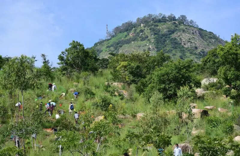 No romance at Nandi Hills: Visitor entry banned on Valentine’s Day