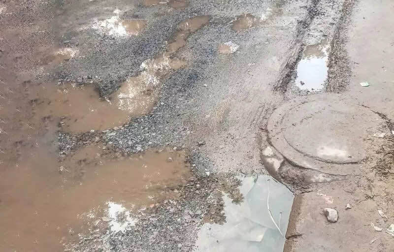 Overflowing sewer lines, clogged manholes leave Mayfield Gardens residents in Gurgaon struggling