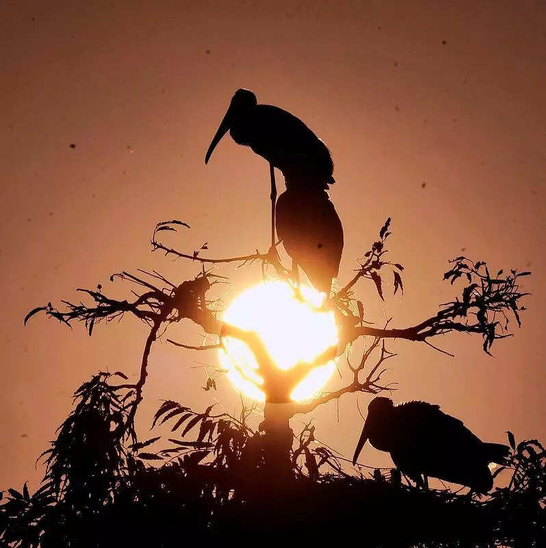 Clear skies, warmer days ahead