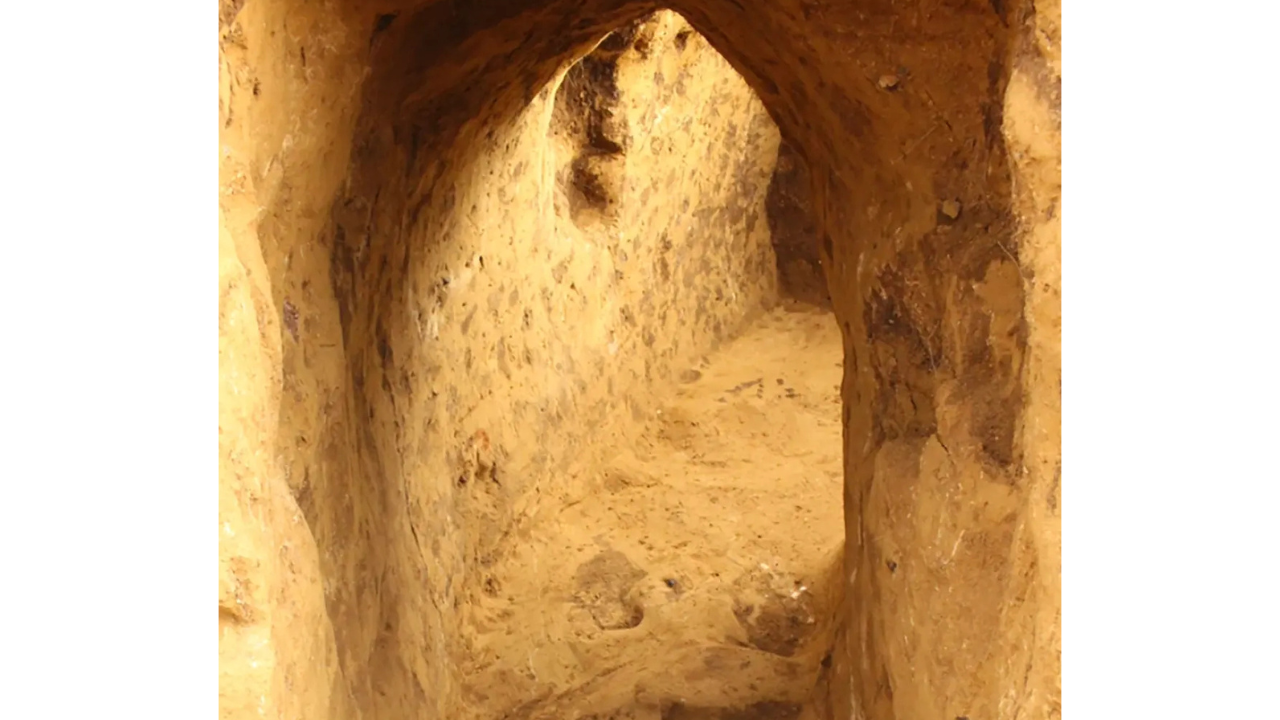 Mysterious tunnels found beneath 5,000-year-old pagan graves in Germany leave experts stunned