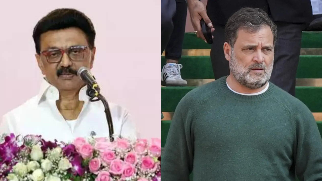 ‘Share in power won’t suit Tamil Nadu’: MK Stalin rejects Congress demand, affirms 2026 alliance