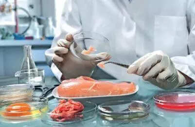 One in 6 food poisoning deaths linked to T, report rings alarm