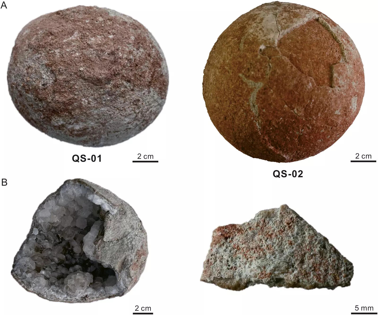 Cannonball-sized dinosaur crystallised eggs found in China
