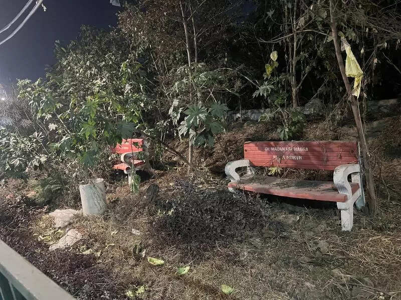 MC faces flak over crumbling green belt along Buddha Dariya