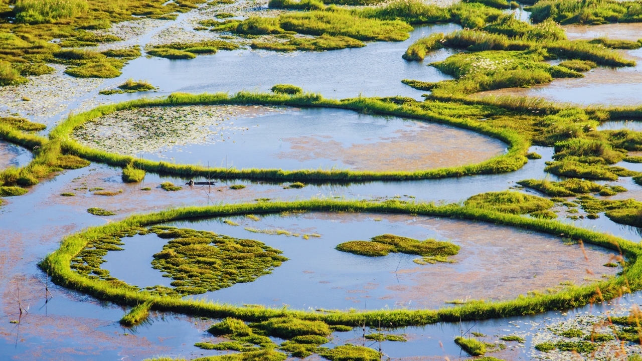 msid 128293707,imgsize 2194050