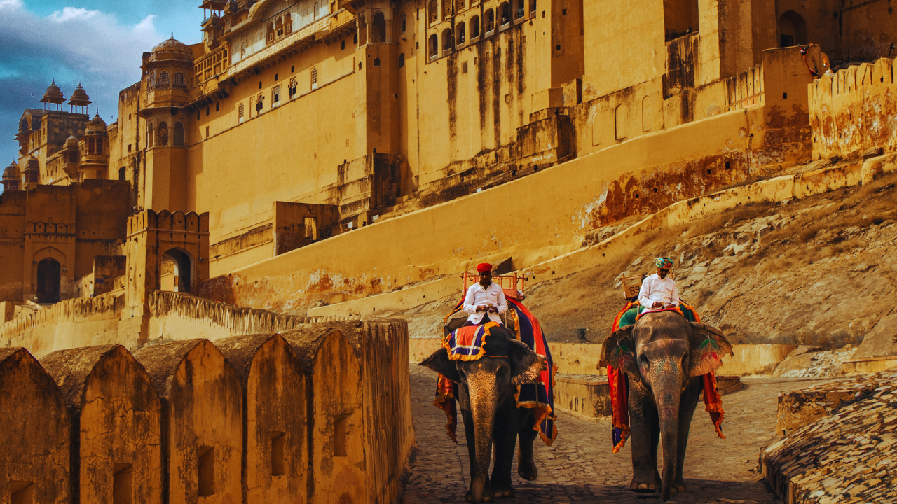 “Elephants and dromedaries in the streets… looked drugged as hell”: The experience that left this foreign traveller uncomfortable