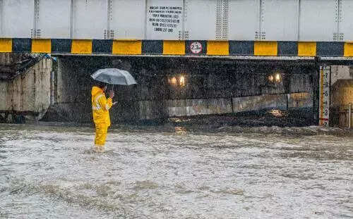BMC mulls building flyover over flood-prone Andheri subway in Mumbai, appoints consultant to carry out feasibility study