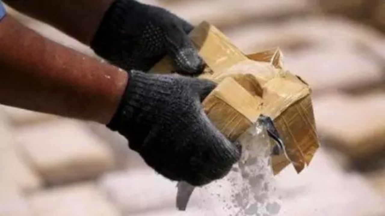 Drone-dropped heroin seized in J&K’s Kathua, 2 with Pakistan links held