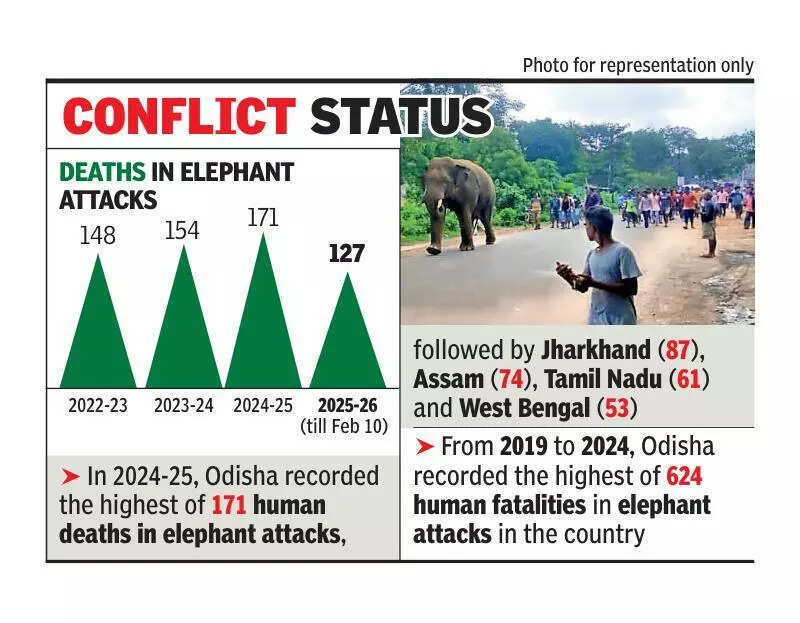 Data shows state recorded highest 17 deaths per 100 elephants