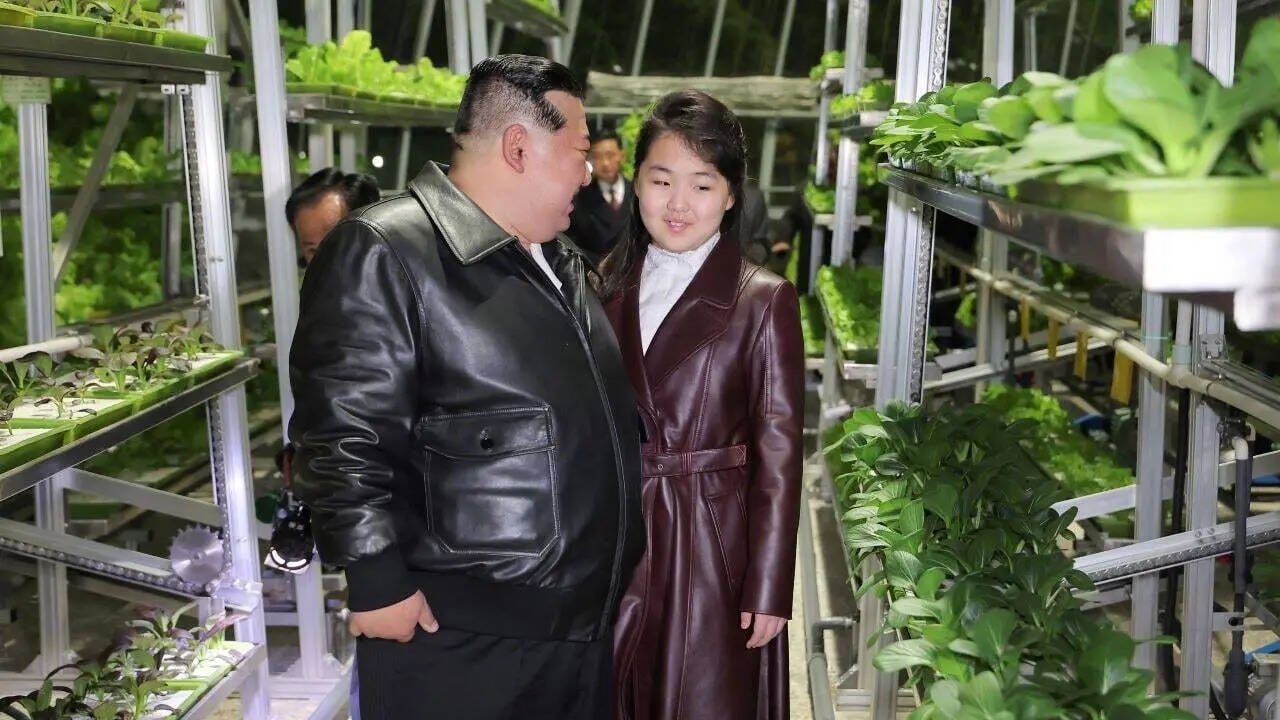 Kim Jong Un’s daughter may face her ‘ambitious, ruthless’ aunt in succession battle for North Korea