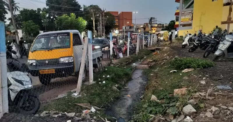 Visitors to Chitlapakkam lake face parking, sewage concerns