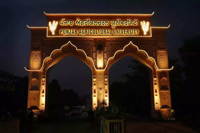 PAU faculty, students win top honours at National oilseeds meet