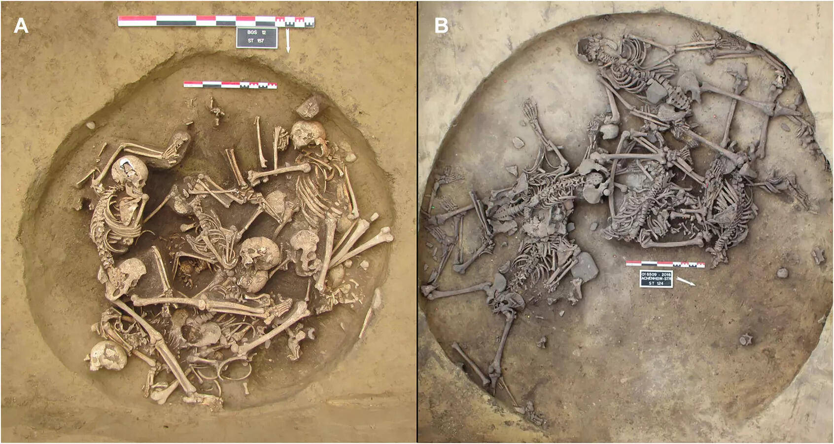 Archaeological evidence shows early Europeans celebrated war with brutality
