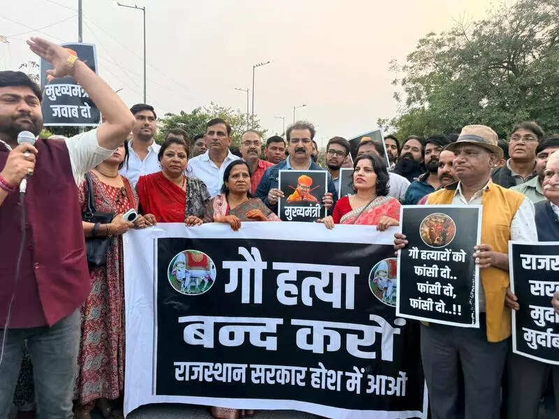 msid 128477730,imgsize 73154 https://jaipur.visitinrajasthan.com/wp-content/uploads/2023/10/cropped-cropped-R-2.png