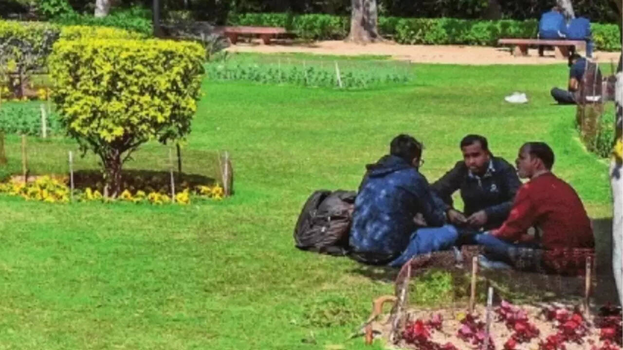 Delhi's Vasant Vihar: A name that still carries an emotional weight