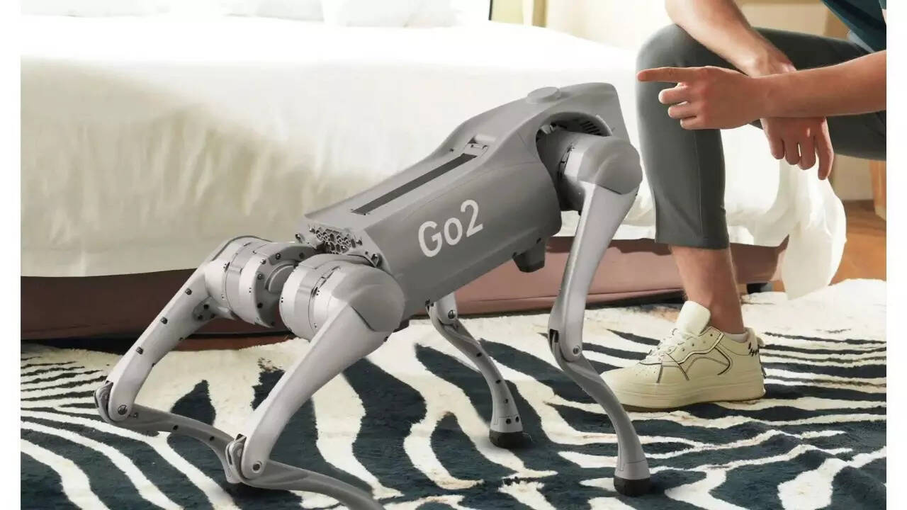 What is Unitree’s Go 2? Chinese robot at centre of Galgotias University row at AI Impact Summit