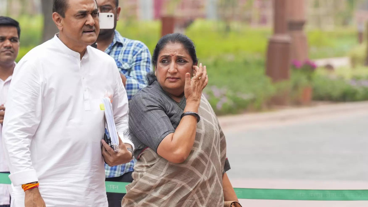 Deputy CM Sunetra Pawar will take over as NCP national president on Feb 26: Praful Patel